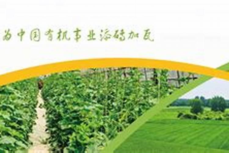 腐植酸水溶肥是什么肥料 腐植酸水溶肥料的作用有哪些