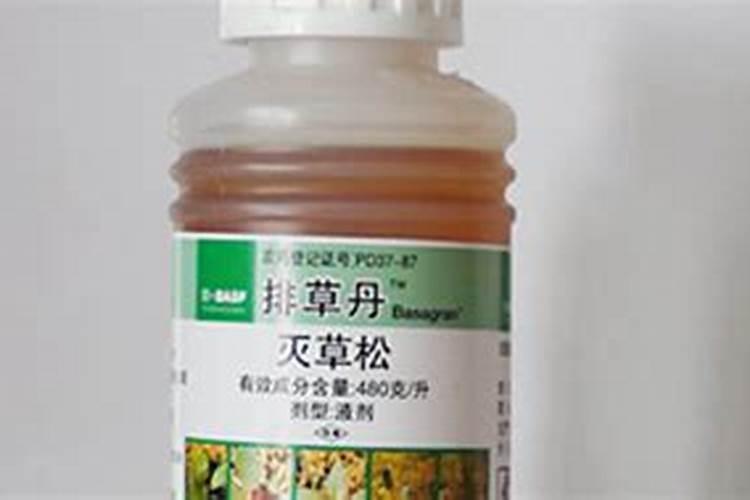 灭草松对玉米有药害吗