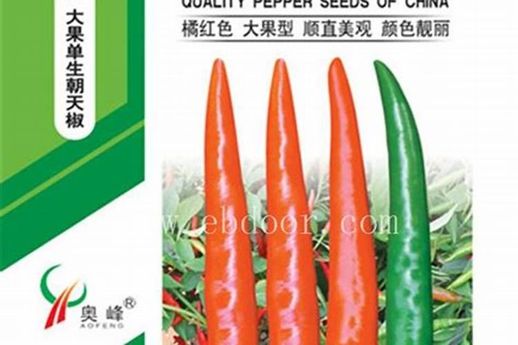 辣椒施肥,要哪种肥比较好