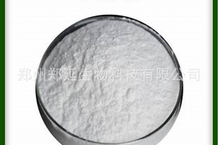 吊兰怎样施肥？施什么肥好？