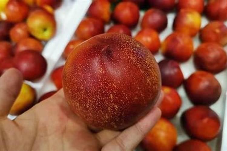 果树促花用什么叶面肥好？