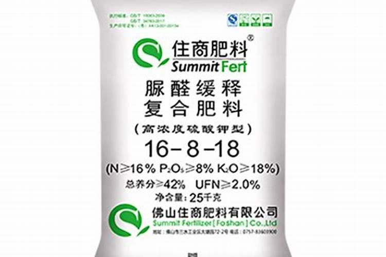 辽宁十大蔬菜批发市场 辽宁蔬菜批发哪里便宜 辽宁蔬菜批发市场有哪几...