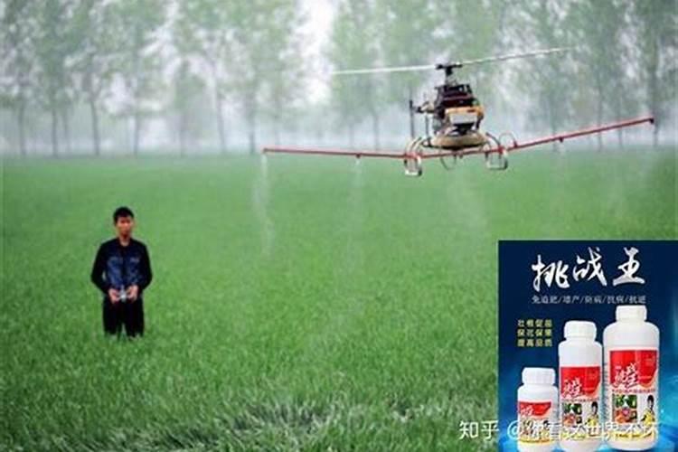 小麦拔节期打什么叶面肥最好