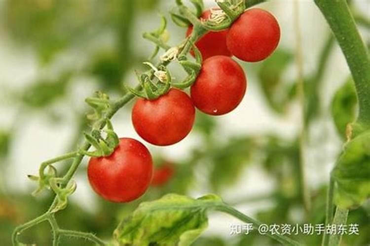 血钾正常值范围是多少