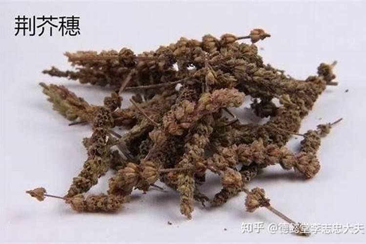 苹果苗怎样栽植能提高成活率？有什么办法？