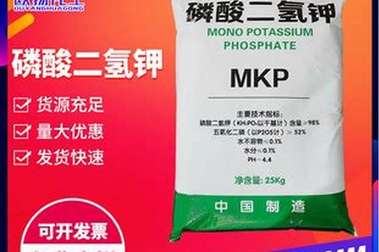 20192020年蒜苗种植前景和效益如何？高产种植方法有哪些？