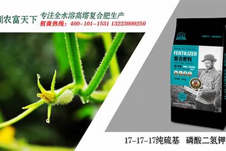 盆栽南瓜怎样才能结果