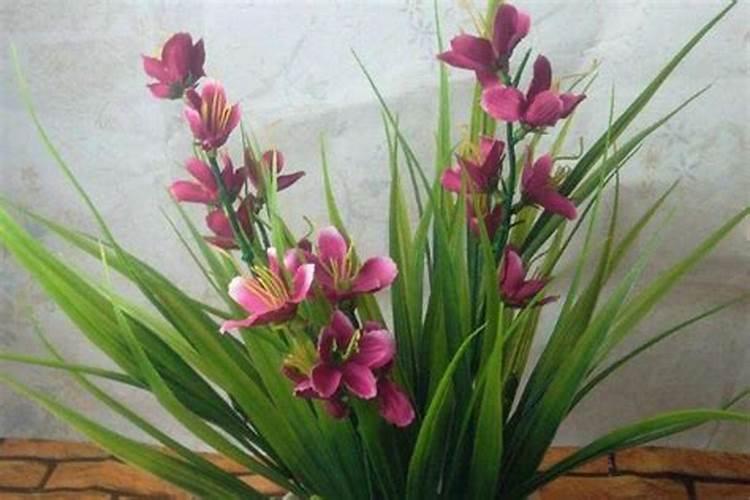 剑兰怎么插花瓶好看剑兰插花瓶水养怎么养