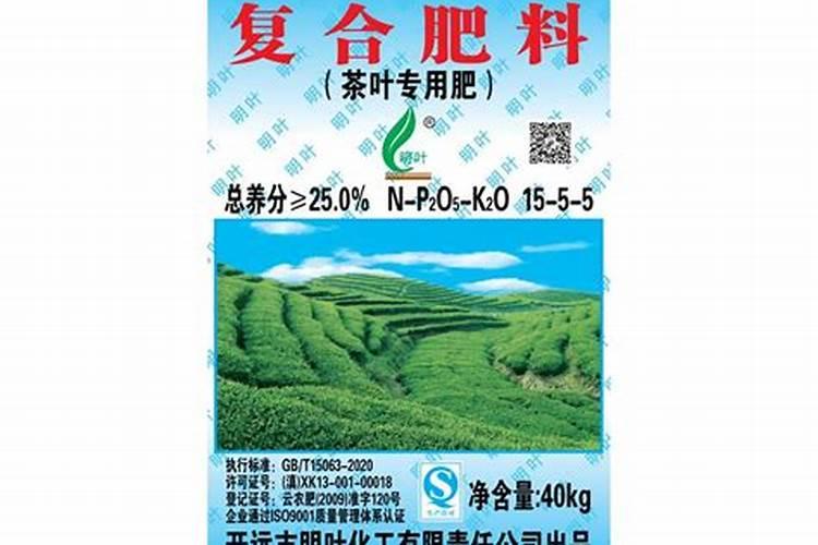种茶叶用什么肥