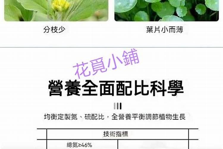 盆栽茉莉花怎么施肥