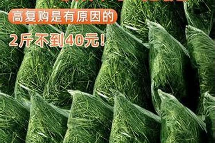 常用的草坪复合肥有哪些？