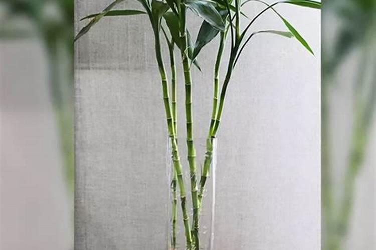 磷酸二氢钾浇花起什么作用(用来浇灌、喷施注意事项)