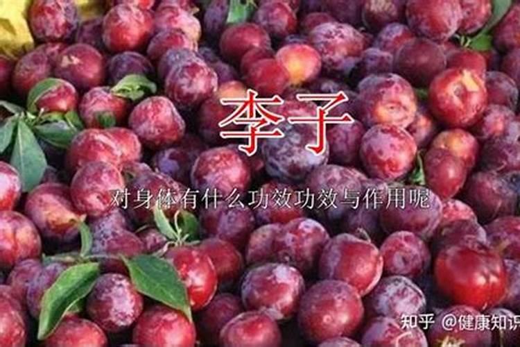 李子什么时间喷磷酸二氢钾和硼肥最好？