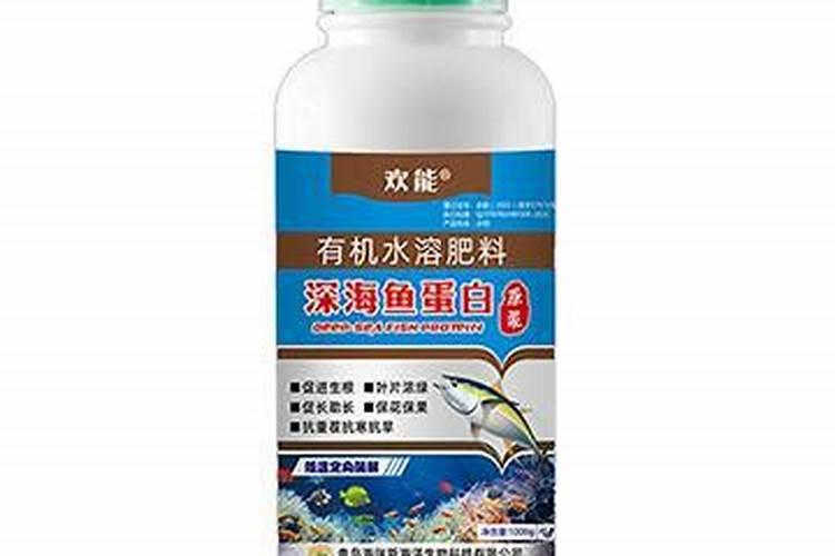 开花期间可以施肥吗