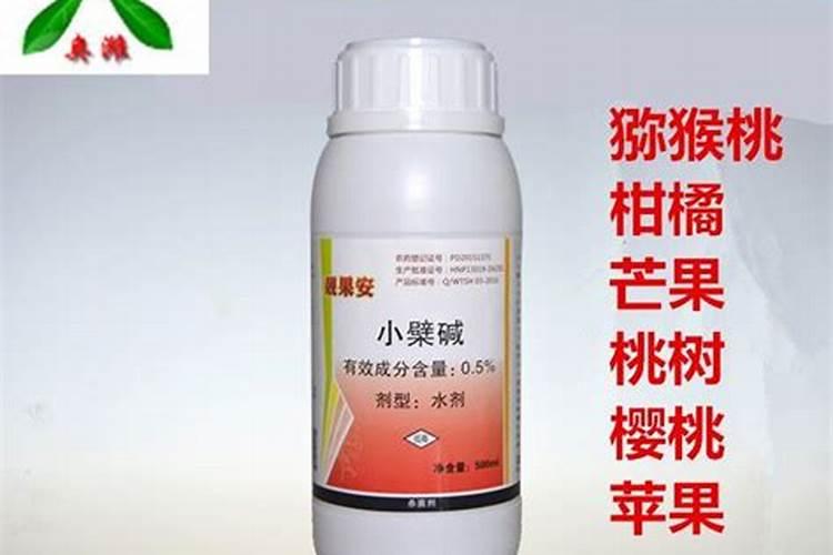 西瓜移植后打芸苔素行不行？