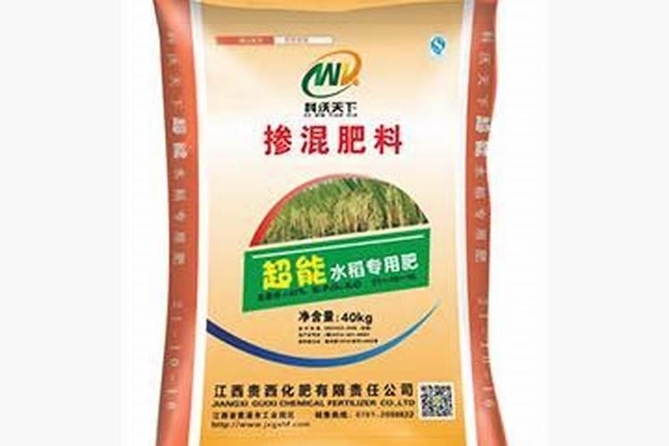 种枇杷施什么肥