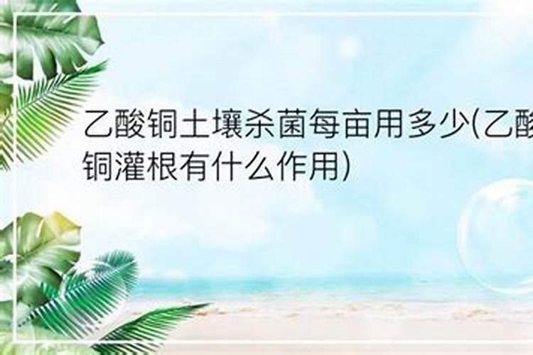 番茄植株卷叶如何防治呢？