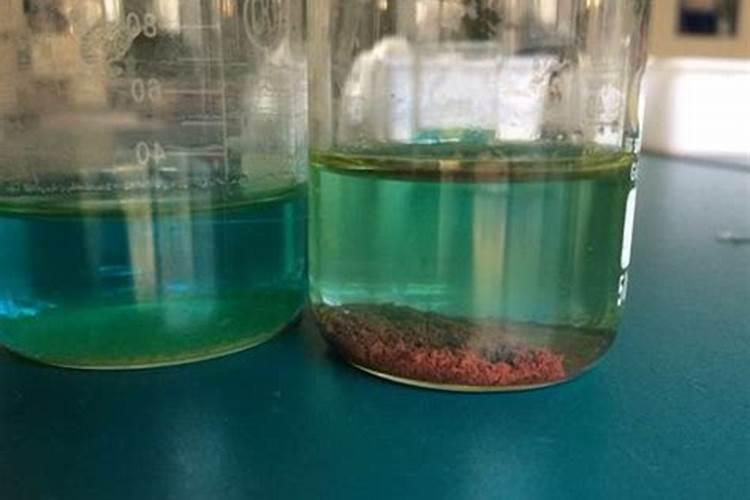 洋姜施肥用什么肥料