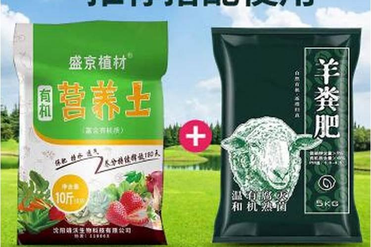 魔肥的使用方法