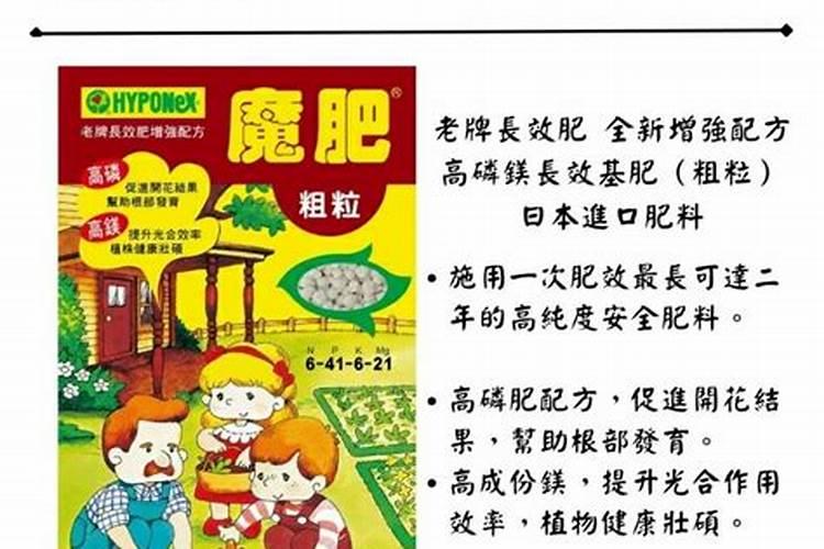 魔肥施多了,会不会导致兰苗送命？