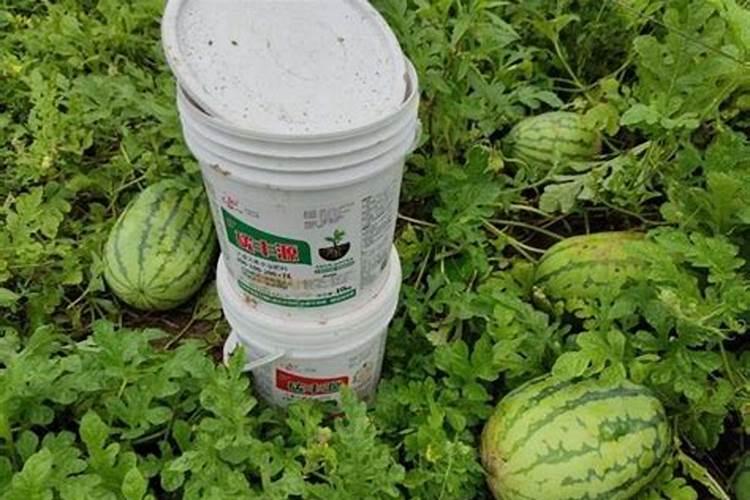 水溶肥的使用方法和注意事项