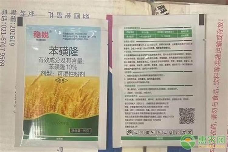 莜麦的种植能否重茬种植？
