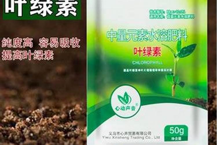 香菜控旺用什么药比较好