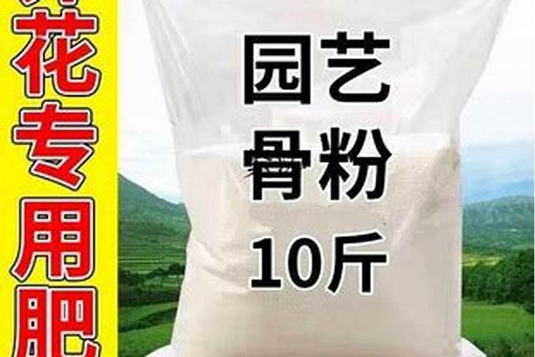 黄瓜秧怎么掐蔓