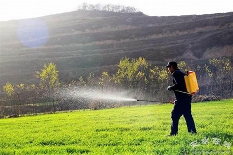 吡虫啉可以和氨基酸水溶肥料一起用吗？