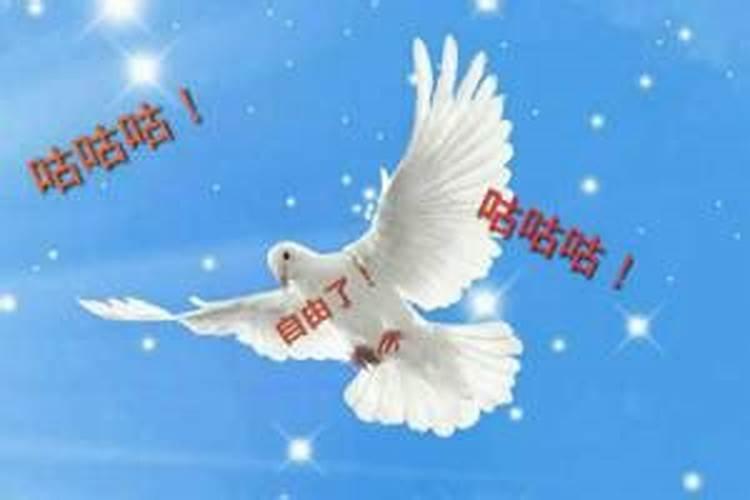 治疗肩周炎的膏药哪个好？