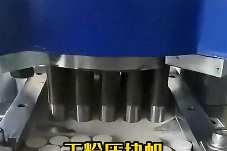 兰花喂粒小药丸