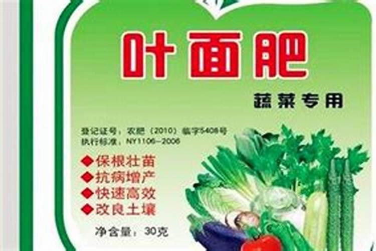 用什么肥好 吊兰施肥方法