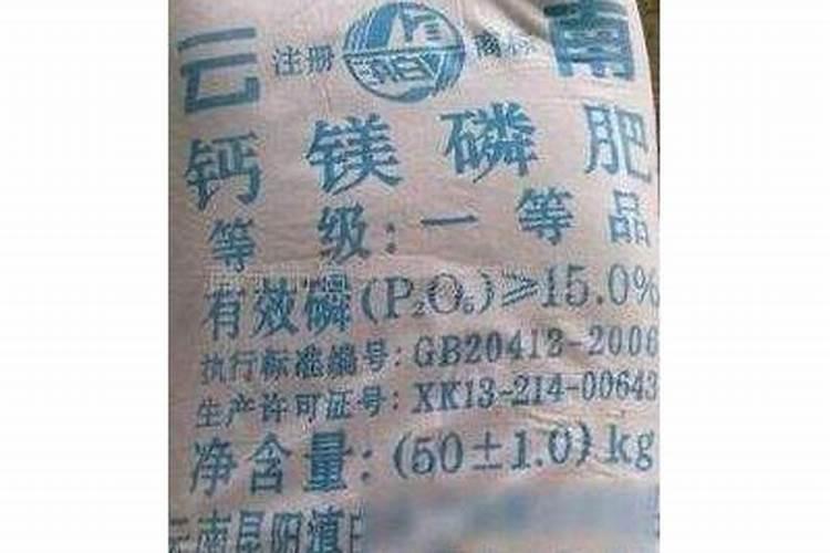 广西南宁新开田生物科技有限公司怎么样？