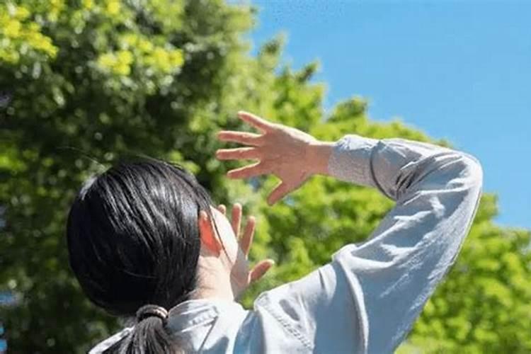 鸡蛋壳可以养哪些花