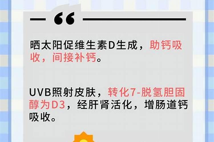 南洋杉的养殖方法和注意事项大全