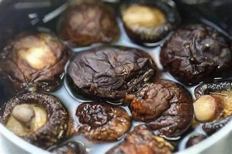 香水茉莉花掉花菇怎么回事？