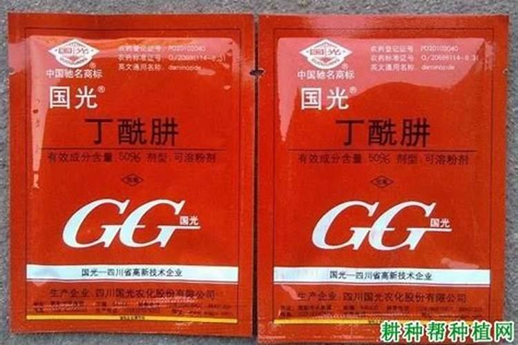 西瓜什么时候打叶面肥