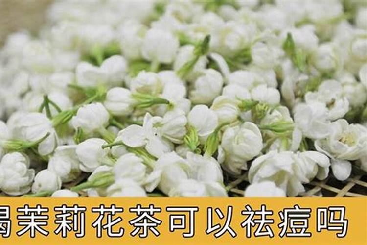 茉莉花茶的产地是哪里？茉莉花开花期间怎么养护？