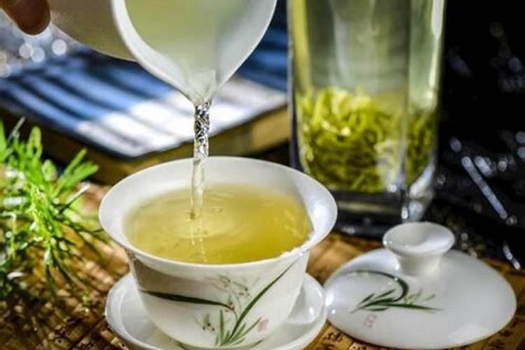茶花催花时间和方法