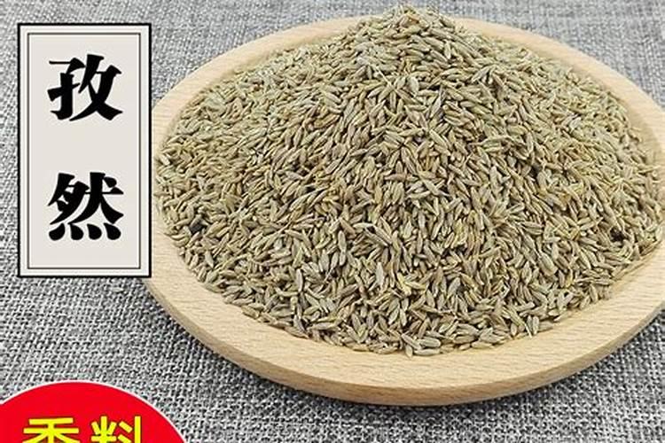 孜然的生长周期是多长时间