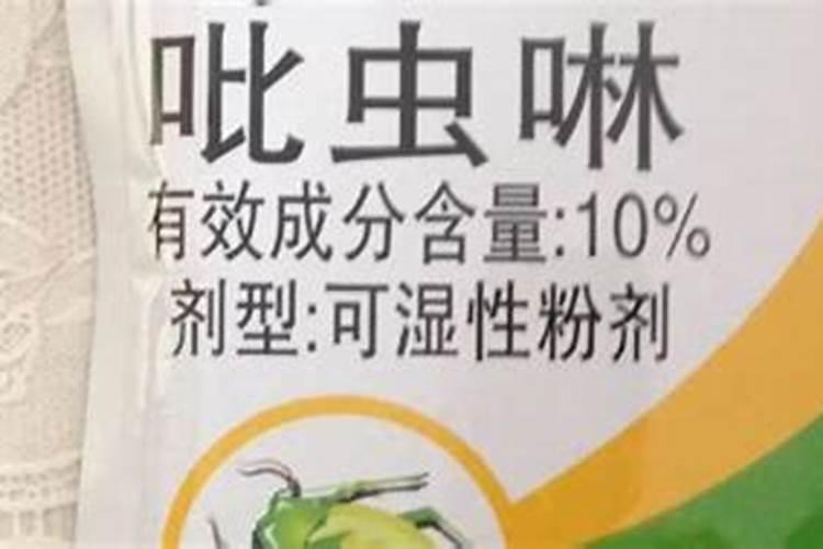 想要防治大葱蓟马,应该如何做呢？