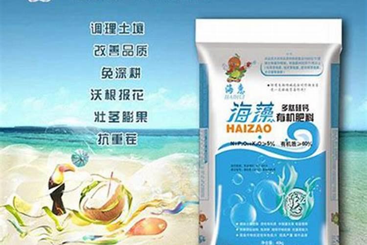 苗芦笋的根状元复合肥