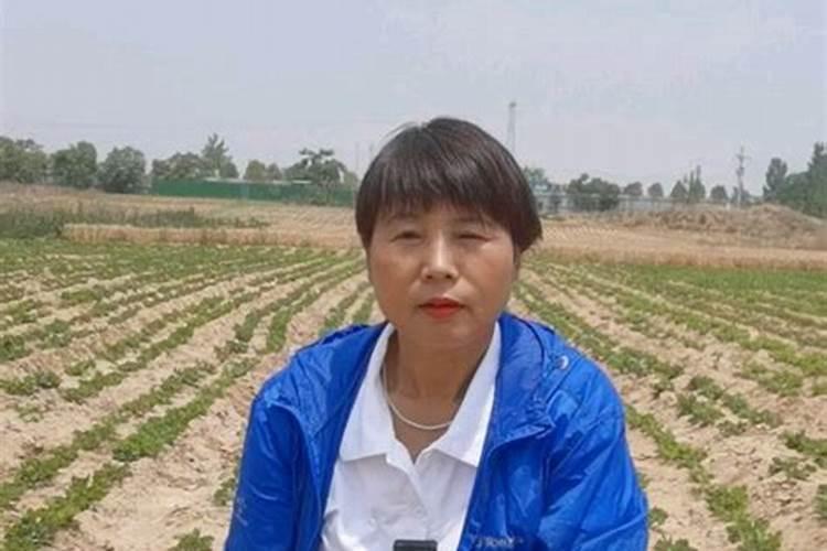 种花步骤5步法