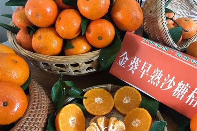 由良蜜桔和金葵砂糖橘哪个好？