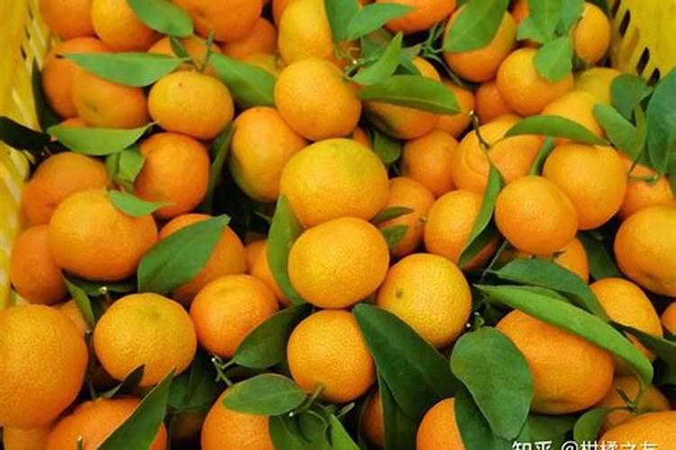 由良蜜桔和金葵砂糖橘哪个好？