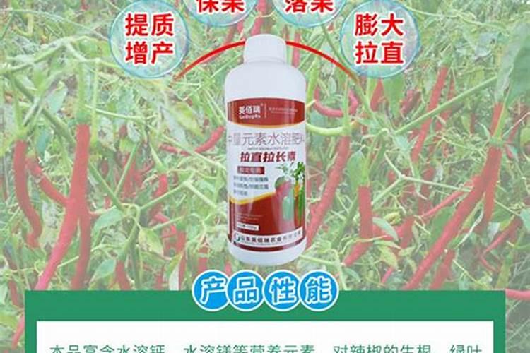 麦茬朝天椒如何选种 麦茬朝天椒怎么追肥