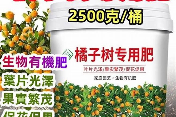 橘子打什么药好