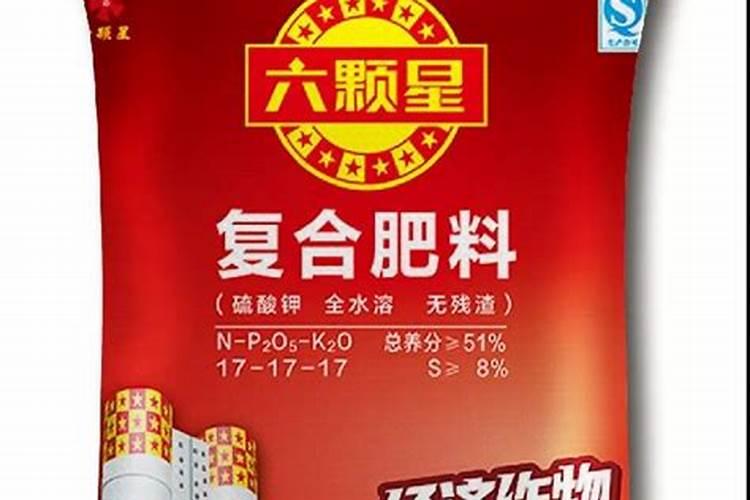 西葫芦什么时候种植最好