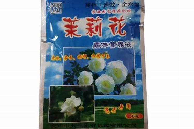 茉莉新发的侧芽叶子稀疏为什么