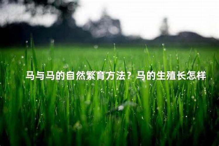 抗寒抗旱的肥料